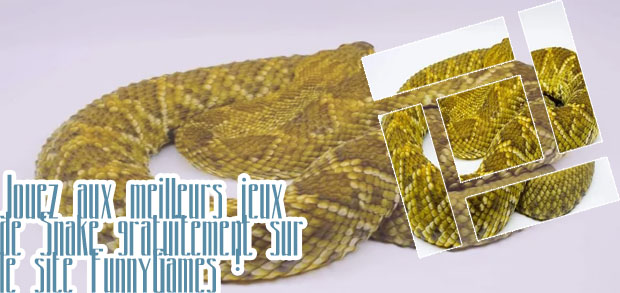 Snake en ligne multijoueur